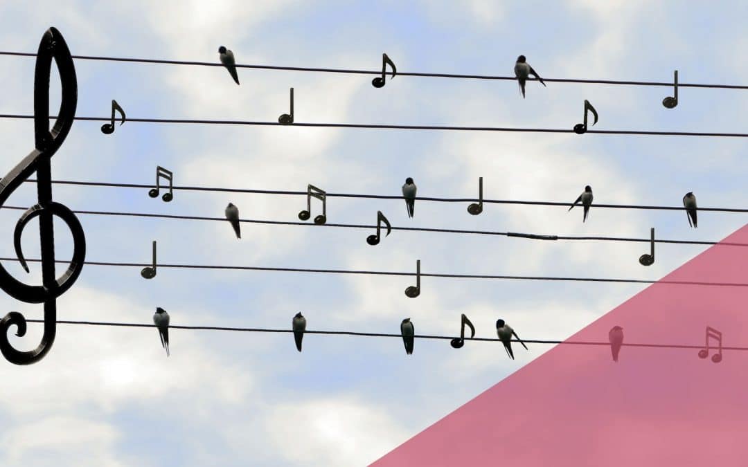 Don’t know what to tweet? 8 Ideas to instantly boost your Twitter kudos